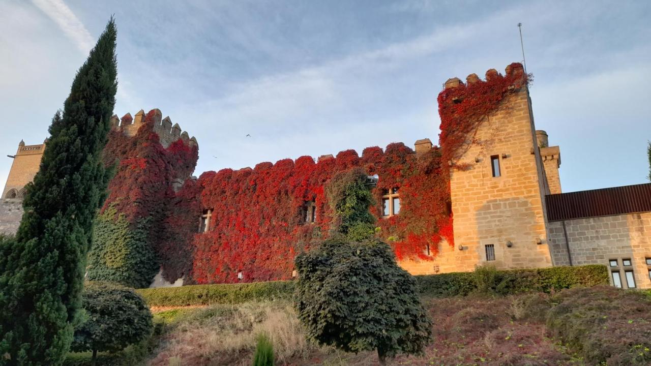 Hostal Rural Villa Vieja Olite Bagian luar foto